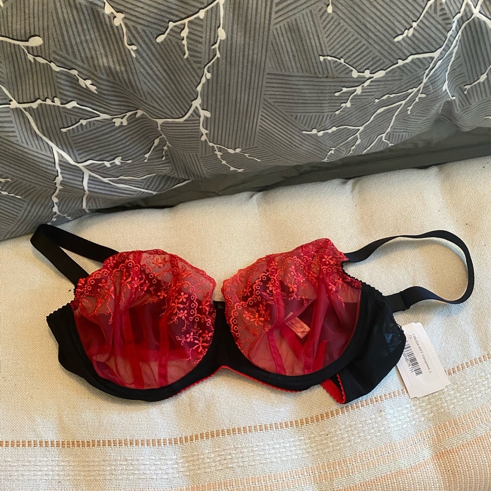 very sexy red bra with delicate lace